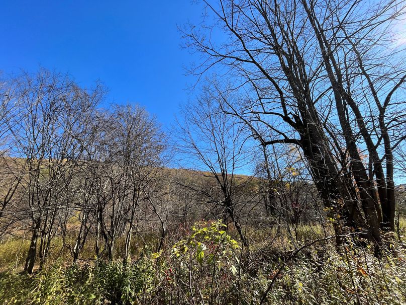 Schuyler_25.155_Ennis_Photos_28