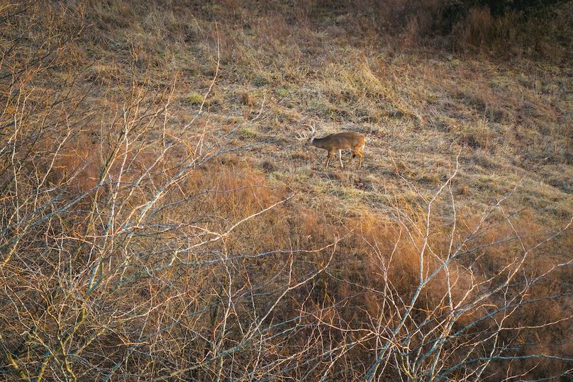 DJI_20260218165758_0678_D