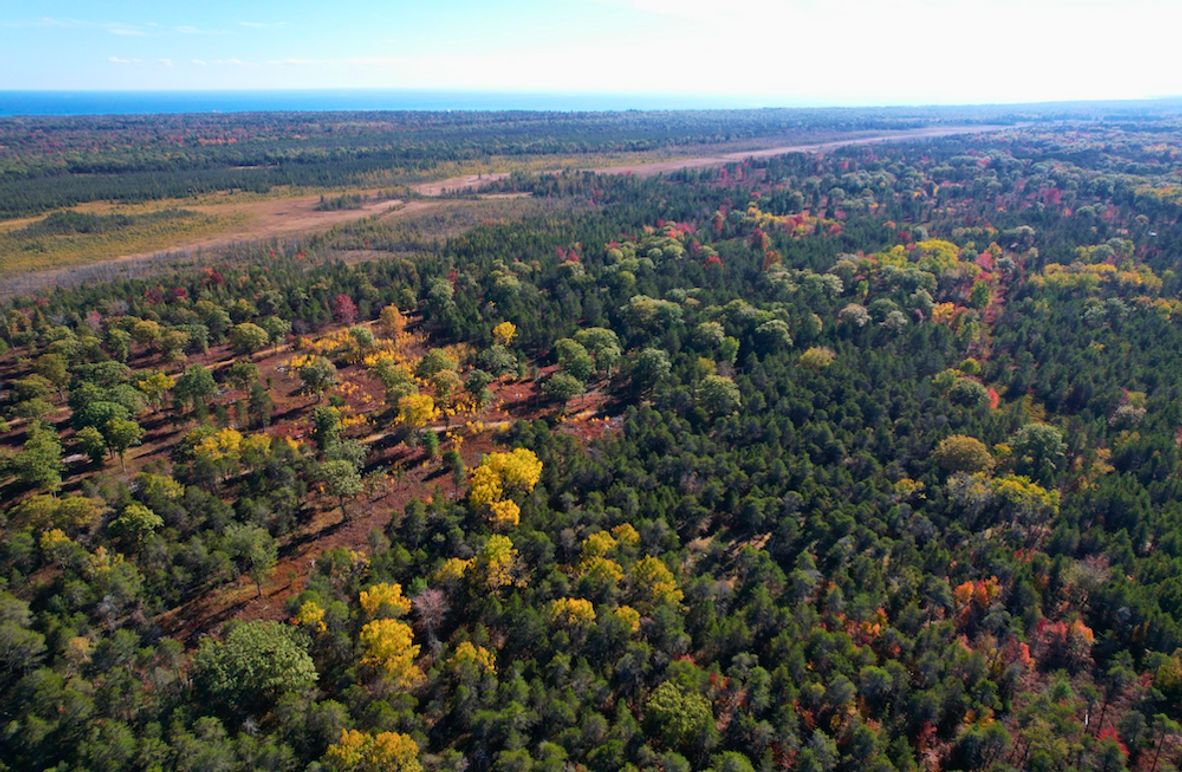 Screenshot 2025-11-14 at 11.00.59 AM