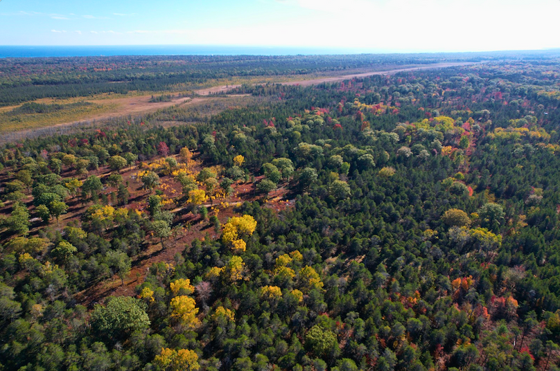 Screenshot 2025-11-14 at 11.00.59 AM