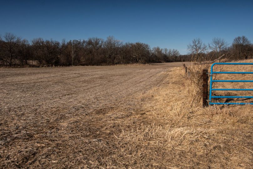 WORTH CO MO 537.44_41