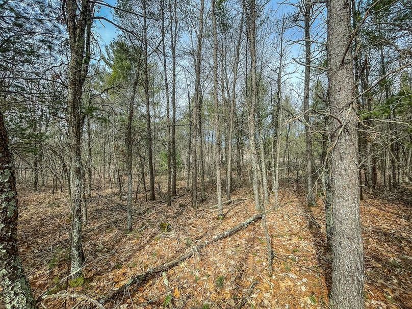 Adams 10.06 Johnson-31