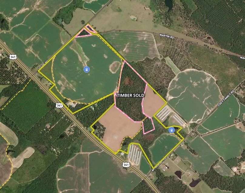 Screenshot 2024-11-08 at 4.33.13 PM copy