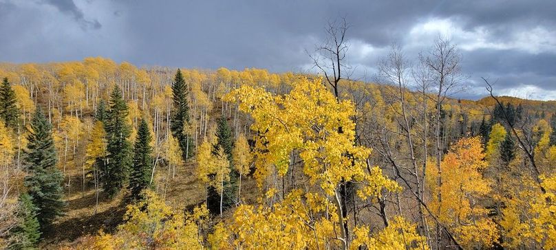 Copy of 20231011_142116