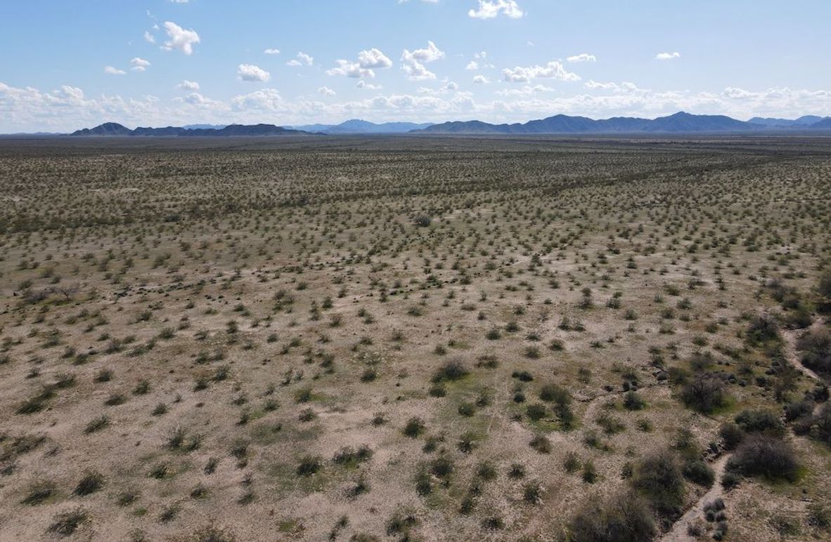 5.dji_fly_20240309_144428_402_1710020700767_photo