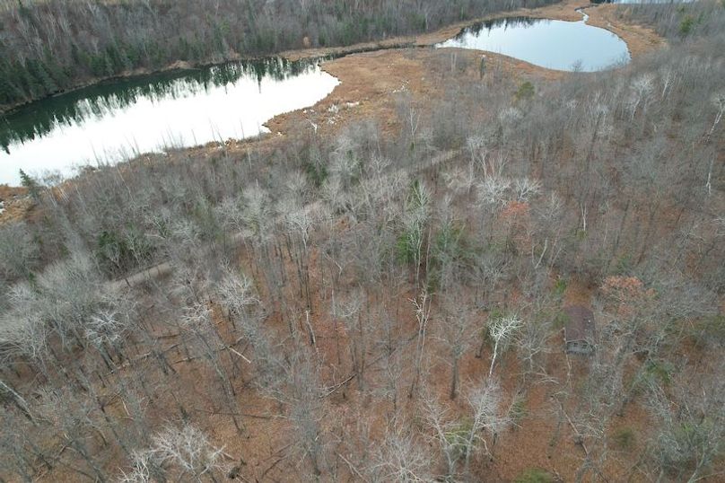 dji_fly_20251104_161128_14_1762294515227_photo