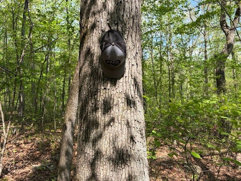 E1A95F75-8E08-4436-8B4B-0560626AC991_1_105_c