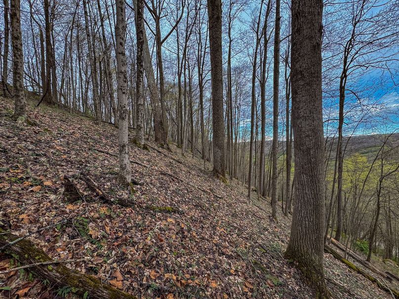 Wirt, WV 39.564 AC Full-02
