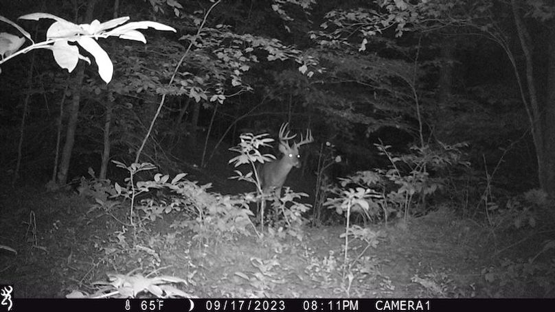trail cam15
