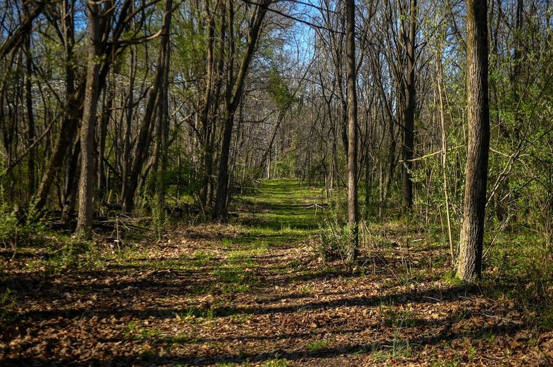 vandalia 450 (2)-2467