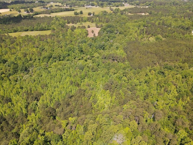 DJI_0479