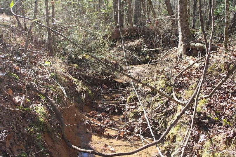 A4305908-25F7-436D-9DC8-77506092514E_1_105_c