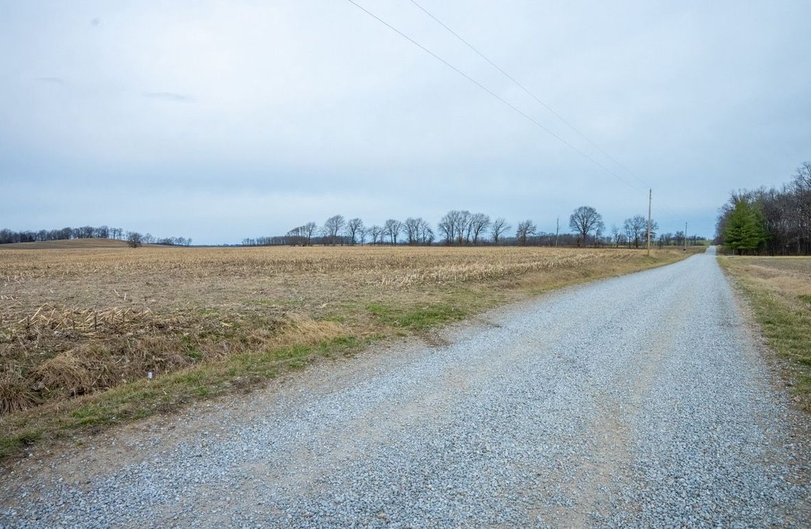 Copy of DSC00740 Large