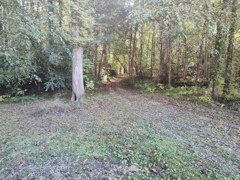 IMG_20231017_105714207