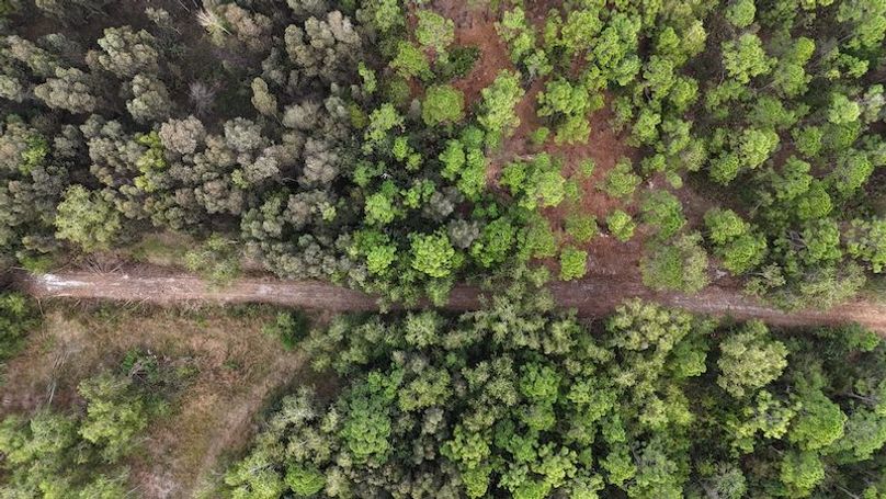 DJI_20260118094621_0179_D