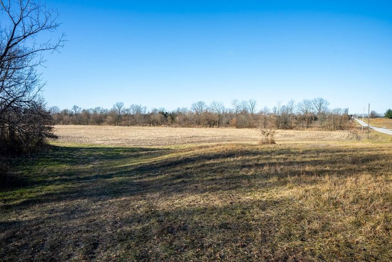 Copy of DSC00668 Large