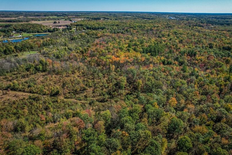 Wood 41.451, Collins -51