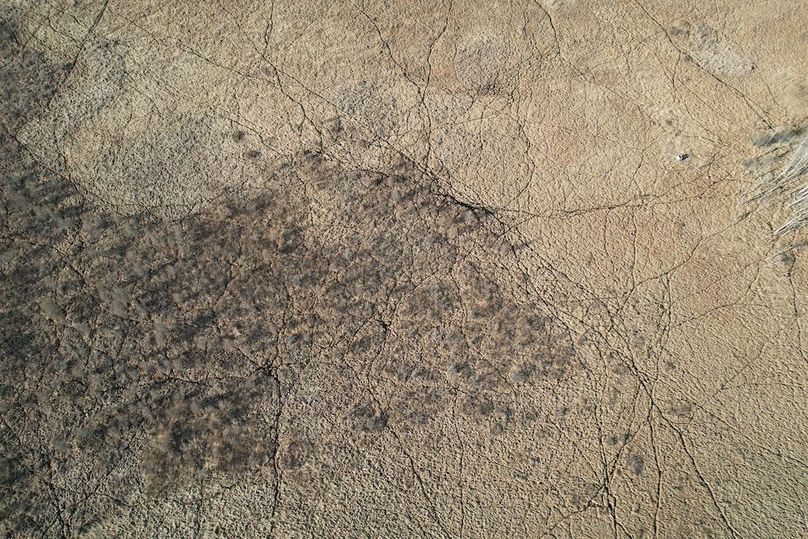 dji_fly_20260415_174608_172_1776293467806_photo