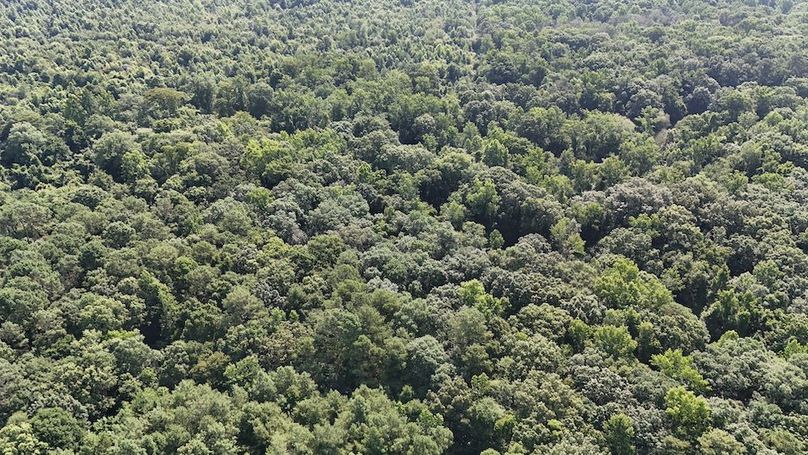 DJI_20250627095506_0110_D