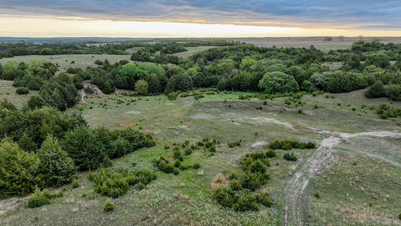 DJI_0564
