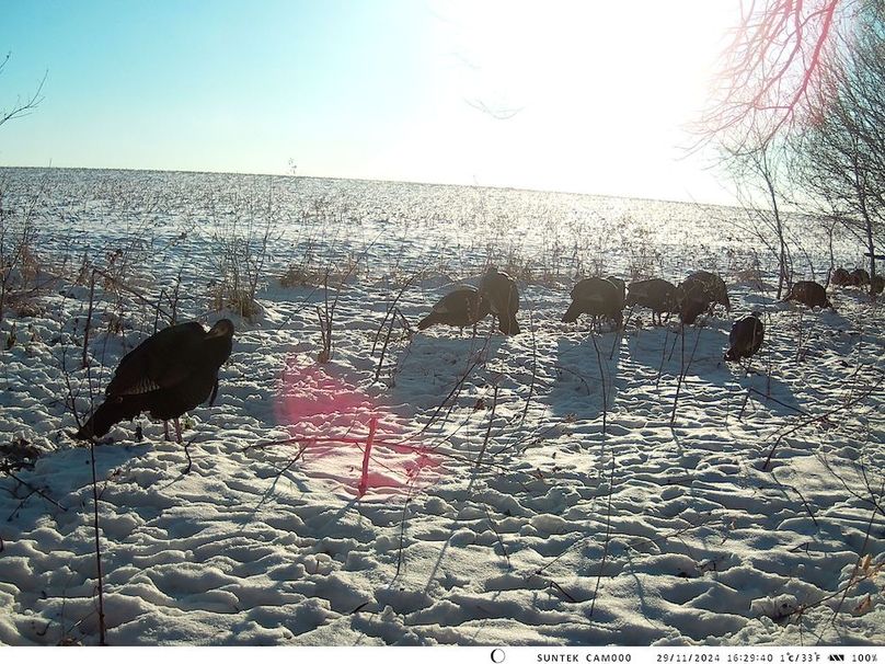 2024-1129-162940_000430