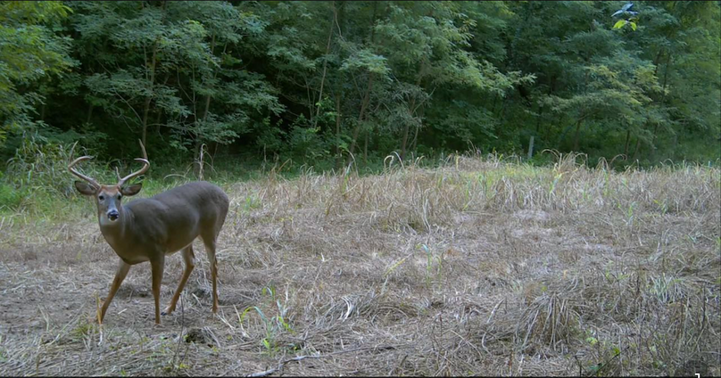 4.5 Copy of Screenshot 2025-09-24 at 2.50.55 PM