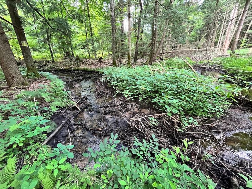 Oswego_133.72_Middleton_Photos_49