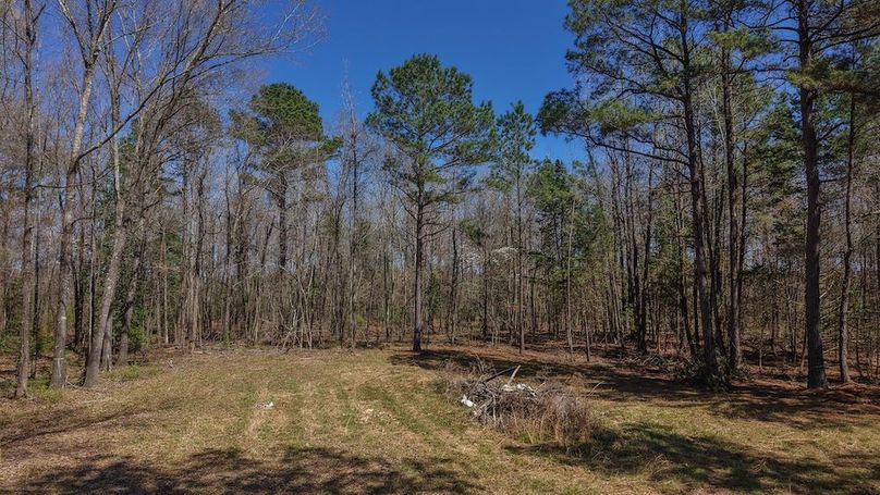 DJI_20260310232520_0009_D