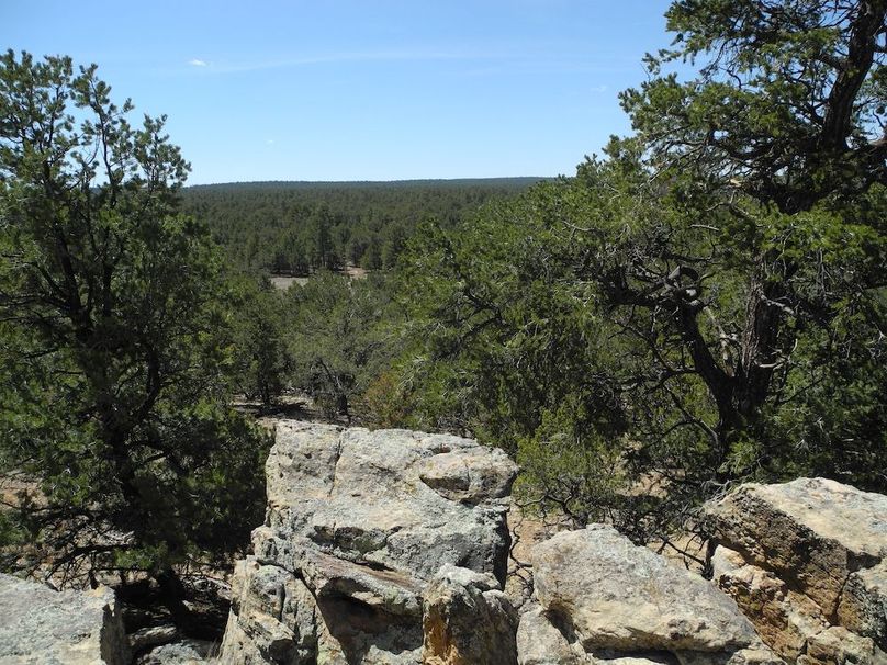 49_Pratt rocks and trees
