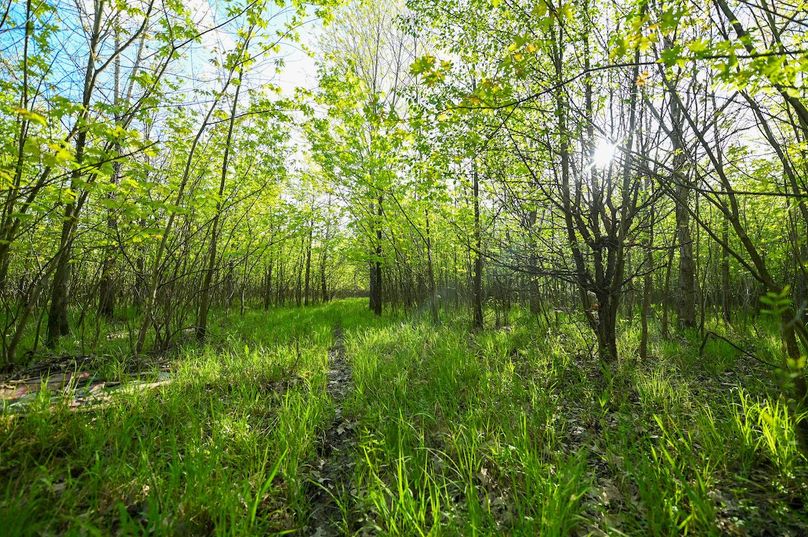 vandalia 450 (2)-3022