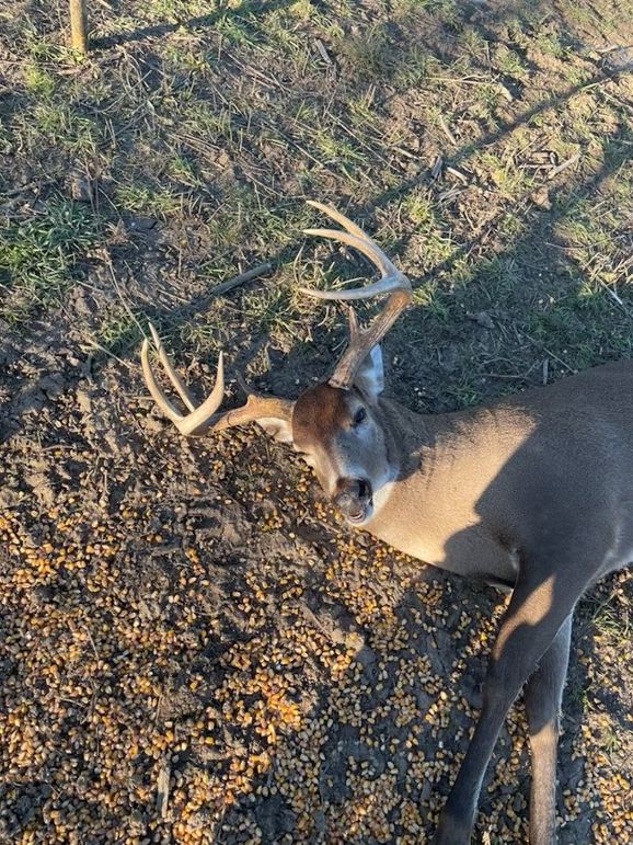 083C7A03-9D37-42A4-B0C6-B13815C3117A