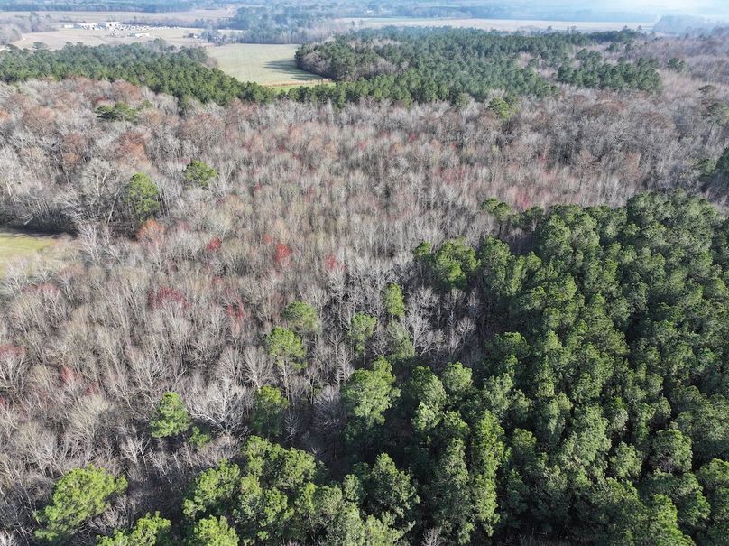 dji_fly_20240226_160320_0065_1709382209312_photo