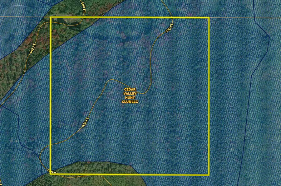 Screen Shot 2023-04-04 at 2.46.12 PM