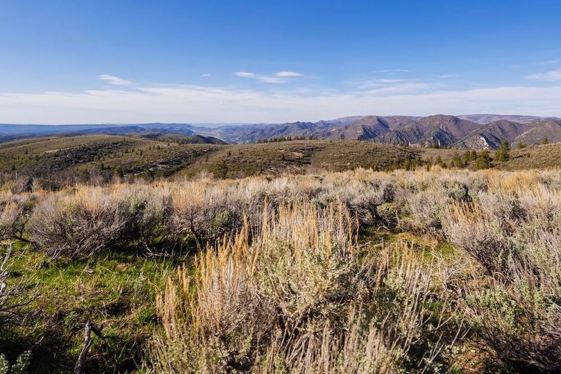 Copy of Copy of DSC_9210