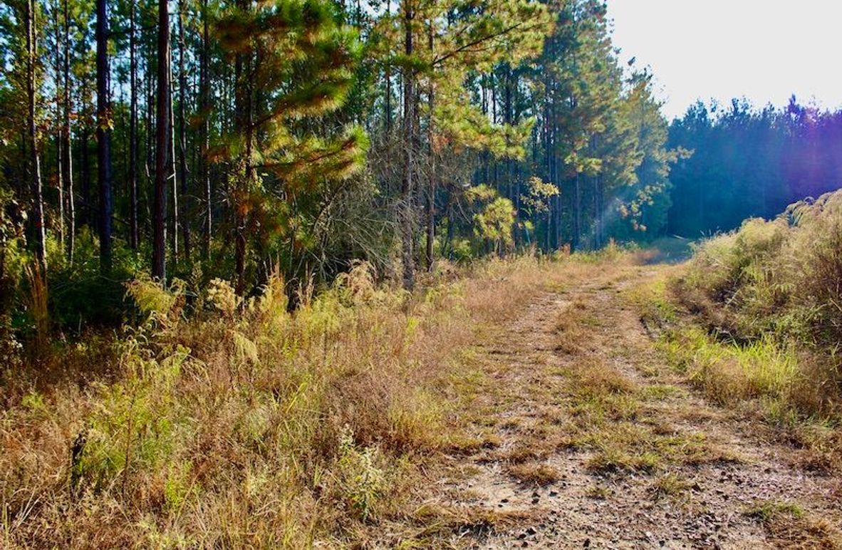 5FF0DD4C-7195-4A07-BDBF-3D6B961199B0_1_201_a