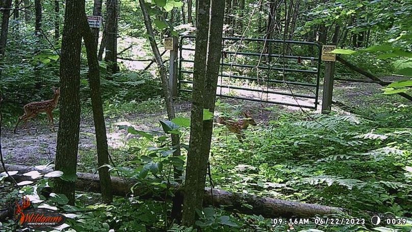 WGI_0039