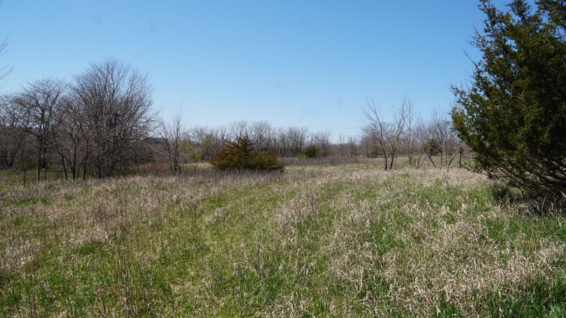 DSC02049