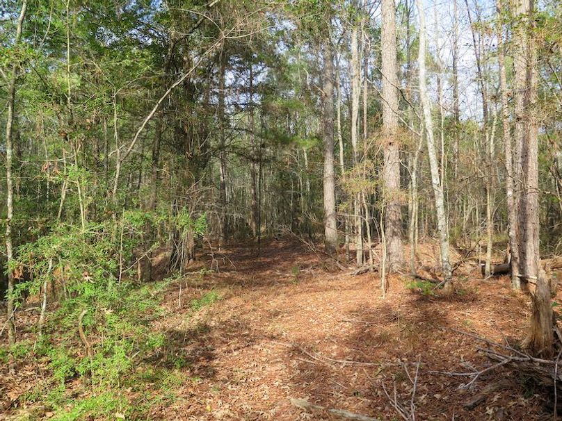 Lauderdale Co - 74 - Gillentine-20