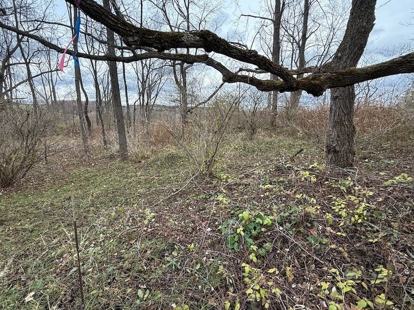 Tompkins_5.12_Galarza Photo 14