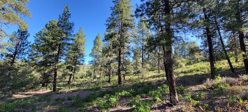 Copy of 20210827_090246