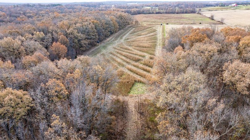 DJI_20241210094746_0007_D