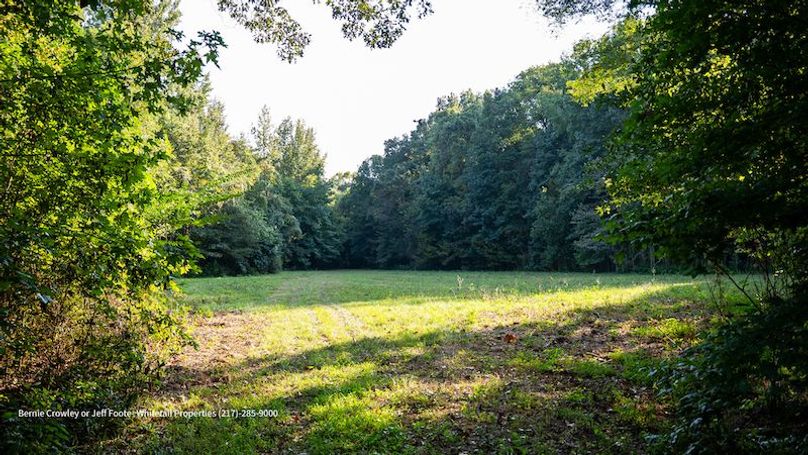 Tallahatchie 847 Messina-26