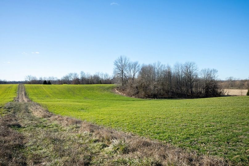 Copy of DSC00669 Large