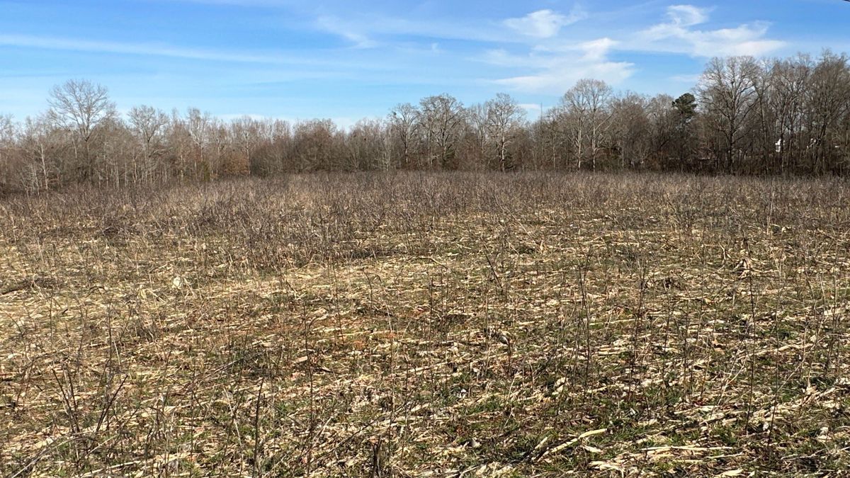 Cleared Ready to Build Land Near Boiling Springs NC Whitetail Properties