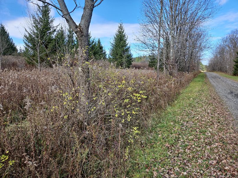 photo_41dbb974-ea3f-4721-bda6-03c938ae488a