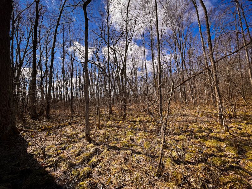 Oswego_165.52_Lashomb_Photos_33