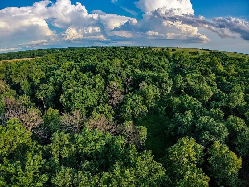 DJI_20260529193413_0186_D