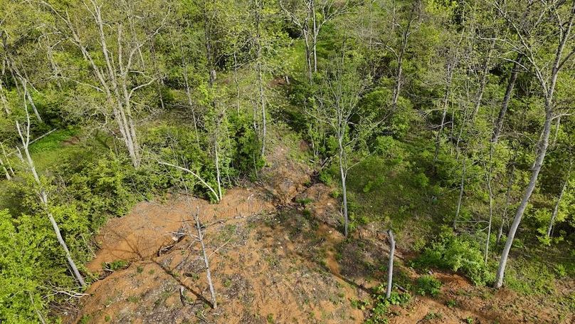 DJI_20250502103533_0463_D