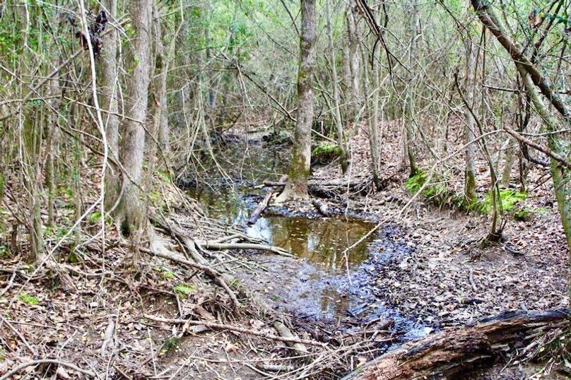 51D2298A-DF23-49FA-A59C-5CA32524312C_1_105_c