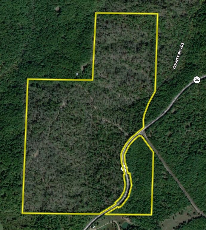 Screenshot 2025-09-11 at 1.58.43 PM